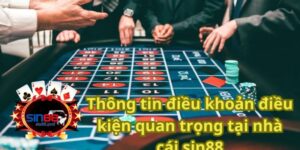 Thông tin điều khoản điều kiện quan trọng tại nhà cái sin88